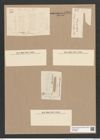 Synedra rumpens meneghiniana [sic] (de-Toni-Nr.: Genus 66) Zeichnungen Sammlung Grunow Nr. 5391 (NHMW-BOT-W0373800)